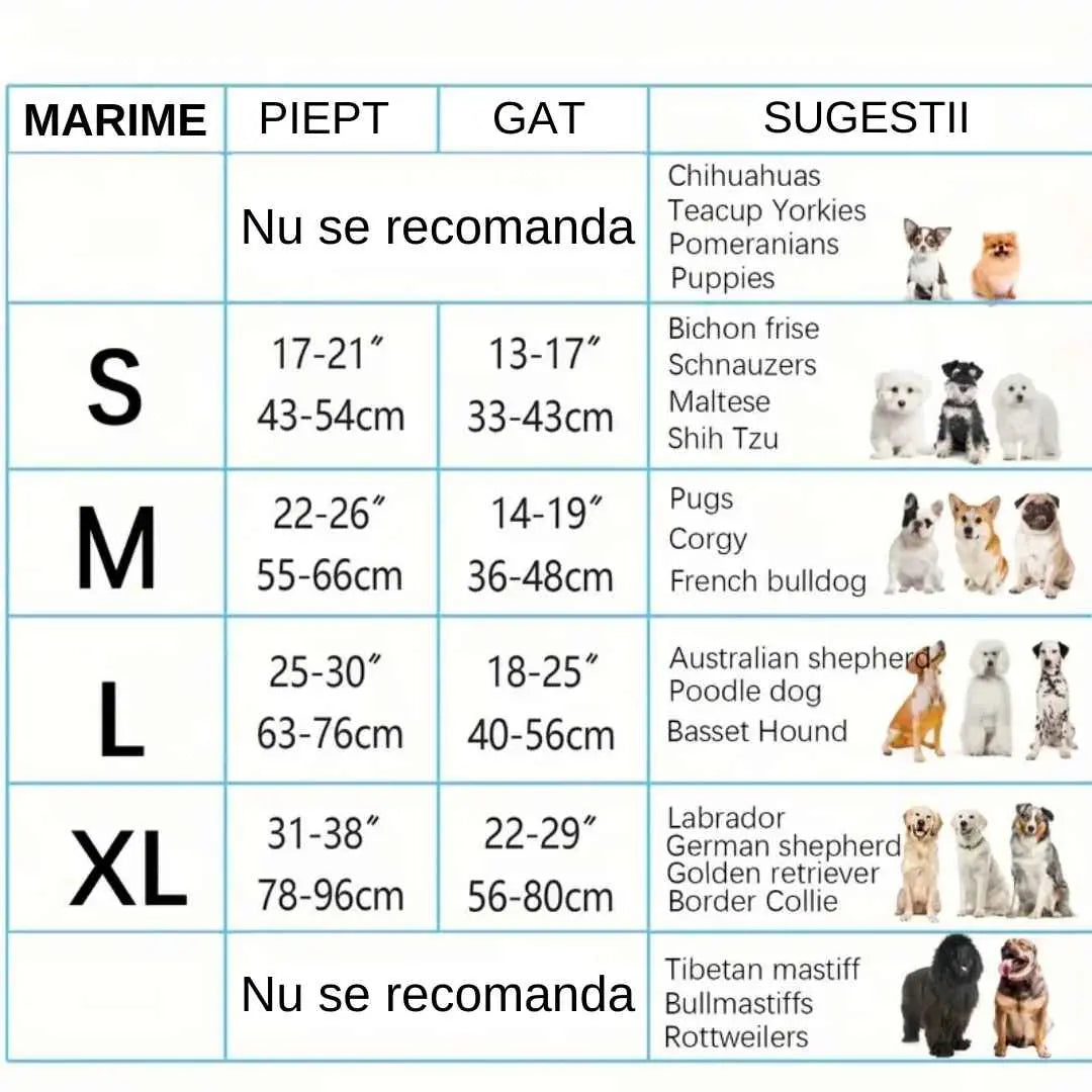 Set ham si lesa, captuseala moale, material respirabil, confortabil, benzi reflectorizante, catarame eliberare rapida, maner moale din spuma, prindere metalica, totativa 360°