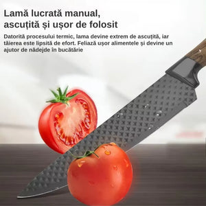 Set cutite bucatarie, din inox, 6 piese, 4 cutite de bucatarie, 1 foarfeca din oțel inoxidabil, 1 cutit din ceramica, de decojit, pentru fructe, legume, carne, cutie depozitare inclusa
