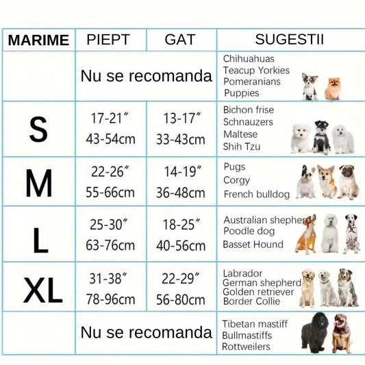 Set ham si lesa, captuseala moale, material respirabil, confortabil, benzi reflectorizante, catarame eliberare rapida, maner moale din spuma, prindere metalica, totativa 360°